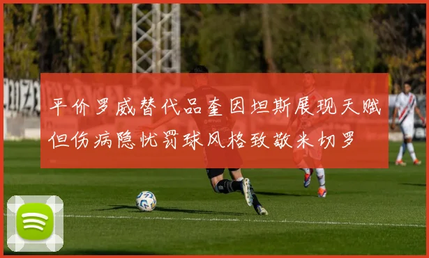 平价罗威替代品奎因坦斯展现天赋但伤病隐忧罚球风格致敬米切罗